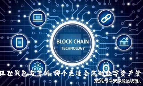 小狐狸钱包与薄饼：哪个更适合您的数字资产管理？