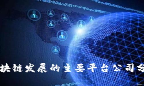 区块链发展的主要平台公司分析