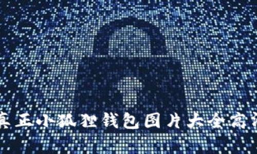 真正小狐狸钱包图片大全高清