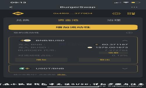如何在小狐狸钱包中充值BUSD：详细步骤与注意事项