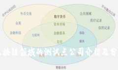 区块链领域的测试点公司