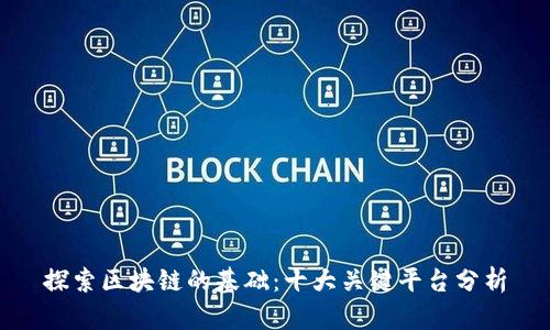 探索区块链的基础：十大关键平台分析