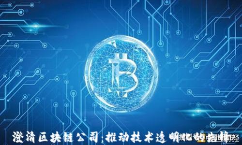 
澄清区块链公司：推动技术透明化的先锋