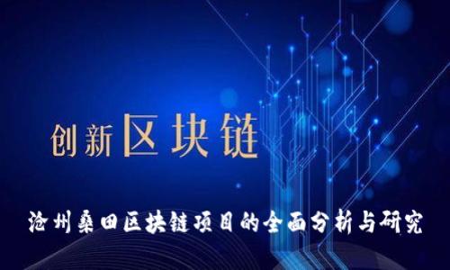 沧州桑田区块链项目的全面分析与研究