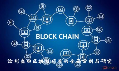 沧州桑田区块链项目的全面分析与研究
