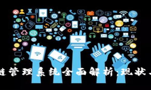 中国区块链管理系统全面解析：现状与未来发展